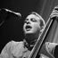 The Avett Brothers