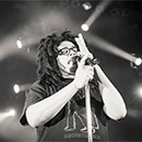 Counting Crows