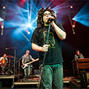 Counting Crows