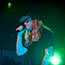 Dirty Heads