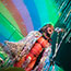 The Flaming Lips